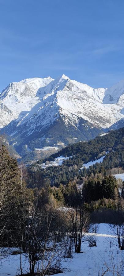 Appartement Ideal Ete Ou Hiver, Pour Skieurs Et Promeneurs, 4 Personnes 생제르베레뱅 외부 사진